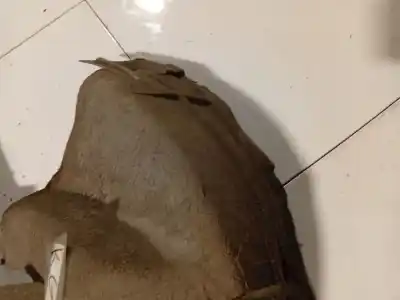 Автозапчасти б/у задняя левая колесная арка за ford focus c-max (dm2) 1.6 tdci ссылки oem iam   