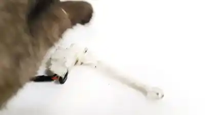 Peça sobressalente para automóvel em segunda mão sensor por porsche 968 descapotable 3.0 referências oem iam a64000200  