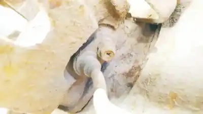 Peça sobressalente para automóvel em segunda mão sensor abs por kia cee'd fastback (ed) 1.6 crdi 115 referências oem iam 