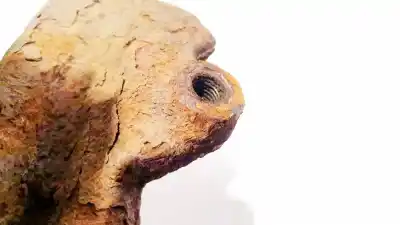 Second-hand car spare part front left knuckle for ford taurus (p5_) 3.0 24v oem iam references   