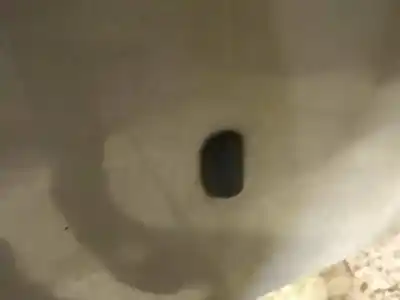 Tweedehands auto-onderdeel plasticen voor ford focus iii 1.6 tdci oem iam-referenties 