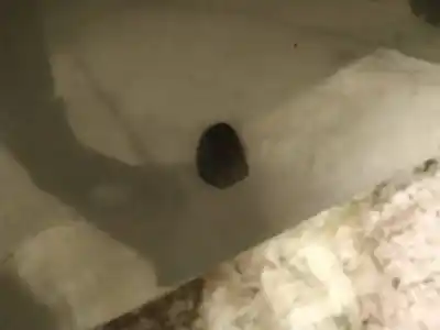 Pezzo di ricambio per auto di seconda mano plastica per volvo v70 ii (285) d5 riferimenti oem iam   