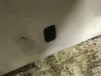 Peça sobressalente para automóvel em segunda mão plásticos por ford galaxy (vx) 1.9 tdi cat referências oem iam 