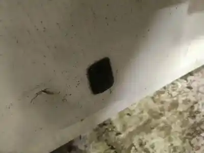 Second-hand car spare part plastics for ford galaxy (vx) 1.9 tdi cat oem iam references   