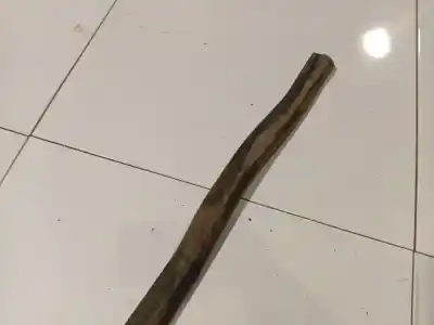 Pezzo di ricambio per auto di seconda mano pezzi vari per opel astra h (a04) 1.6 (l48) riferimenti oem iam   