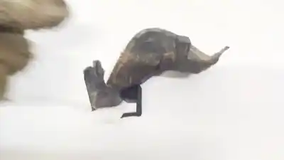 Pezzo di ricambio per auto di seconda mano plastica per audi a3 (8p1) 1.9 tdi riferimenti oem iam 8p3821686b  