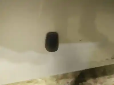 Pezzo di ricambio per auto di seconda mano plastica per toyota ipsum (_m2_) 2.0 d (clm20_) riferimenti oem iam   