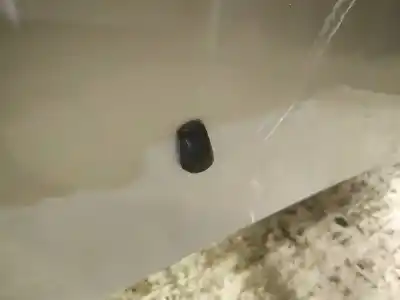 Pezzo di ricambio per auto di seconda mano plastica per toyota ipsum (_m2_) 2.0 d (clm20_) riferimenti oem iam   