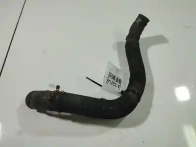 Tweedehands auto-onderdeel BUIS voor RENAULT SCÉNIC III (JZ0/1_) 1.5 DCI OEM IAM-referenties   