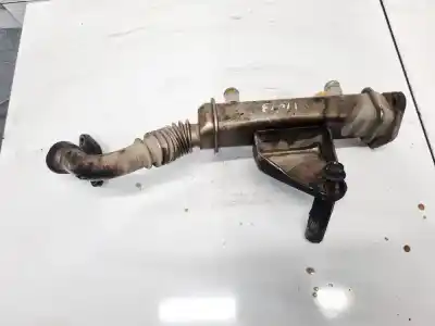 Second-hand car spare part EGR COOLER for NISSAN PATHFINDER III (R51) 2.5 DCI OEM IAM references   