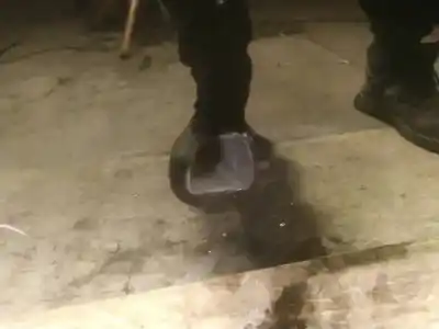 Pezzo di ricambio per auto di seconda mano plastica per austin maxi i fastback 1500 riferimenti oem iam   