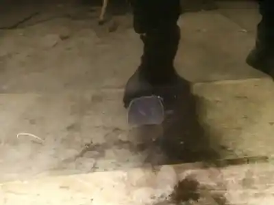 Pezzo di ricambio per auto di seconda mano plastica per austin maxi i fastback 1500 riferimenti oem iam 