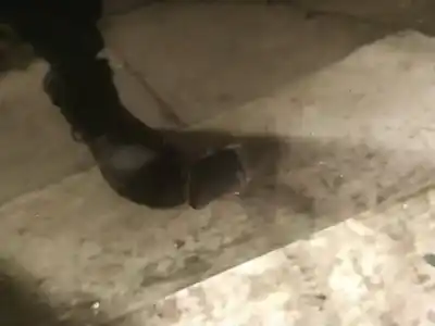 Pezzo di ricambio per auto di seconda mano plastica per austin maxi i fastback 1500 riferimenti oem iam 