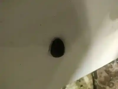 Peça sobressalente para automóvel em segunda mão plásticos por citroen c3 ii (sc_) 1.4 hdi 70 (sc8hzc, sc8hr0, sc8hp4) referências oem iam 