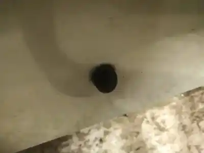 Peça sobressalente para automóvel em segunda mão plásticos por renault thalia 2000 - 2010 1.4 55kw 2000 - 2010 referências oem iam 