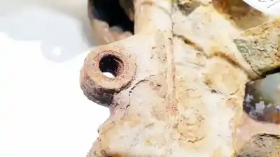 Second-hand car spare part front right knuckle for ford taurus (p5_) 3.0 24v oem iam references   