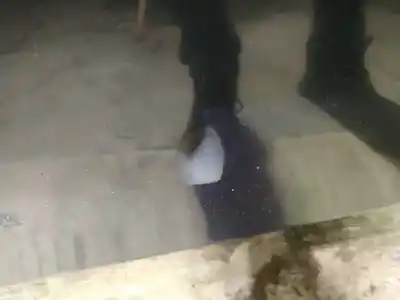 Pezzo di ricambio per auto di seconda mano plastica per volvo s60 i (384) d5 riferimenti oem iam   