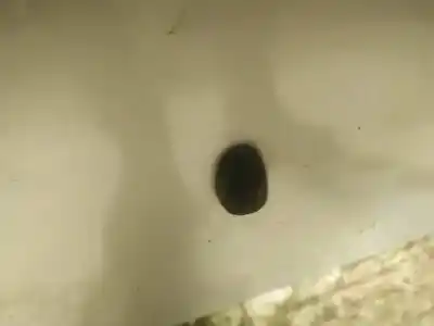 Second-hand car spare part plastics for mazda premacy (cp) 2.0 td oem iam references 