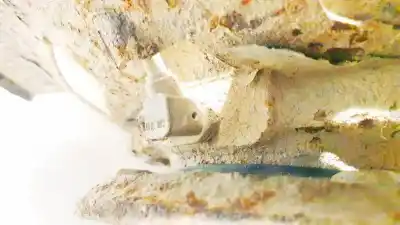 Peça sobressalente para automóvel em segunda mão sensor abs por opel antara, 2010.08 --> facelift 2.2 d135kw 2010.08 --> facelift referências oem iam   