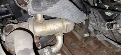 Pezzo di ricambio per auto di seconda mano raffreddatore egr per bmw 3 (e30) m3 2.3 riferimenti oem iam   