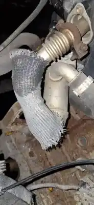 Pezzo di ricambio per auto di seconda mano raffreddatore egr per bmw 3 (e30) m3 2.3 riferimenti oem iam   