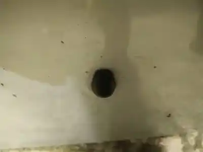 Pièce détachée automobile d'occasion plastiques pour honda fr-v (be) 2.0 (be3) références oem iam 