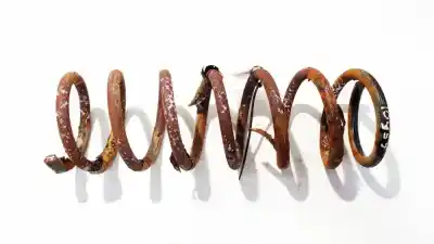 Автозапчасти б/у амортирующая пружина за ford focus c-max (dm2) 2.0 tdci ссылки oem iam 