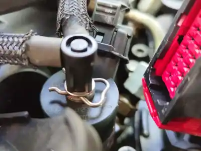Pezzo di ricambio per auto di seconda mano motore completo per citroen berlingo / berlingo first monospace (mf_, gjk_, gfk_) 1.6 hdi 90 (mf9hx) riferimenti oem iam 9h02  