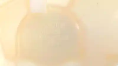 Автозапчастина б/у розширення депозит для mg (saic) mg 3 hatchback посилання на oem iam 11193456  