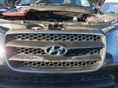 Pezzo di ricambio per auto di seconda mano griglia anteriore per hyundai santa fe cm riferimenti oem iam 865612b010