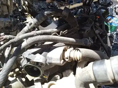 Recambio de automóvil de segunda mano de COLECTOR ADMISION para OPEL CORSA D  referencias OEM IAM 5850162  