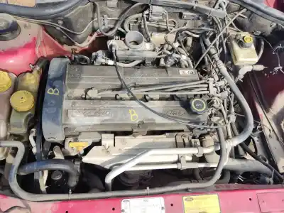 Peça sobressalente para automóvel em segunda mão cabeça / culatra por ford escort vi (gal, aal, abl) 1.6 16v referências oem iam 1042462