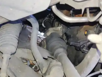 Автозапчасти б/у передняя правая трансмиссия за renault megane ii (bm0/1_, cm0/1_) 1.5 dci (bm1e, cm1e) ссылки oem iam 8200472158   Автозапчасти б/у передняя правая трансмиссия за renault megane ii (bm0/1_, cm0/1_) 1.5 dci (bm1e, cm1e) ссылки oem iam 8200472158
