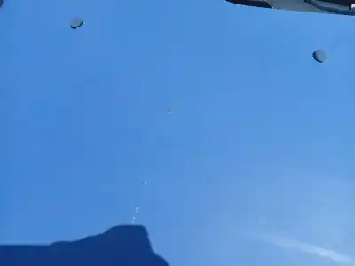 Pezzo di ricambio per auto di seconda mano cappuccio anteriore per peugeot 206 fastback (2a/c) 1.4 i riferimenti oem iam 7901k1  