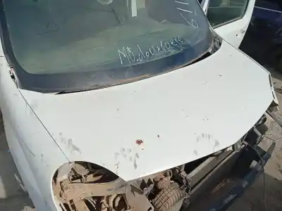 Автозапчасти б/у передний капот за renault kangoo express (fw0/1_) 1.5 dci 70 (fw0a, kw0v) ссылки oem iam 651003220r  