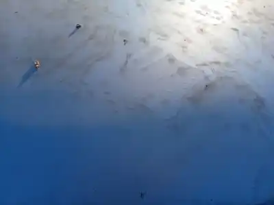 Автозапчастина б/у передній капот для peugeot 206 fastback (2a/c) 2.0 hdi 90 посилання на oem iam 7901k1  