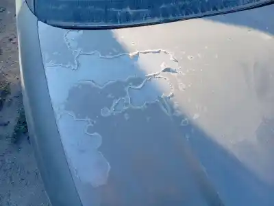 Автозапчастина б/у передній капот для seat cordoba (6l2) 1.9 tdi посилання на oem iam 6l0823031d  