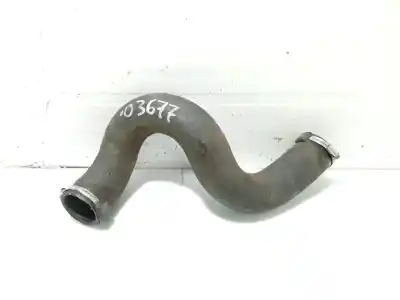 Pezzo di ricambio per auto di seconda mano tubo per citroen c5 berlina exclusive riferimenti oem iam 0382gs