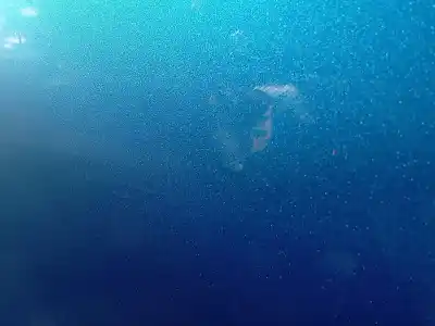 Pezzo di ricambio per auto di seconda mano porta posteriore destra per peugeot 207/207+ (wa_, wc_) 1.6 hdi riferimenti oem iam 9008s6  