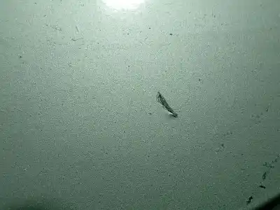 Second-hand car spare part outer fuel cap for ford focus c-max (dm2) 2.0 oem iam references 3m51r405a02ac  