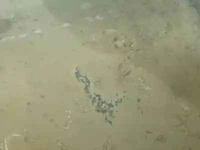 Peça sobressalente para automóvel em segunda mão escapamento traseiro por daewoo lanos (klat) 1.3 referências oem iam 96182256  