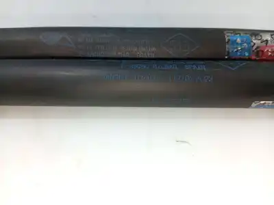 Автозапчасти б/у амортизаторы багажника/двери за renault clio ii (bb_, cb_) 1.2 (bb0a, bb0f, bb10, bb1k, bb28, bb2d, bb2h, cb0a,... ссылки oem iam 7700842256  