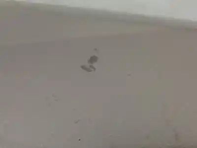 Pezzo di ricambio per auto di seconda mano paraurti anteriore per skoda fabia i (6y2) 1.2 riferimenti oem iam 6y0807221  