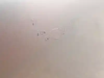 Second-hand car spare part front right door for skoda fabia i (6y2) 1.2 oem iam references 6y0831056  