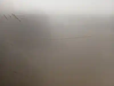 Автозапчасти б/у левая передняя дверь за skoda fabia i (6y2) 1.2 ссылки oem iam 6y0831055  