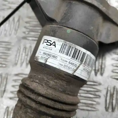Peça sobressalente para automóvel em segunda mão amortecedor traseiro esquerdo por opel mokka (2020-..) off-road referências oem iam 9842692080,98426920800,98426923800,9842692380  