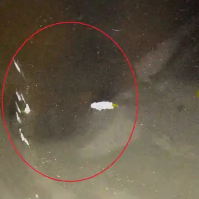 Pezzo di ricambio per auto di seconda mano porta posteriore sinistra per kia cee\´d hatchback ed (2006-2012) riferimenti oem iam 77003-1h000,83470-1h030  