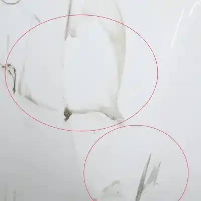 Автозапчасти б/у задний бампер за ford focus iii (2010-2020) ссылки oem iam 1744017  