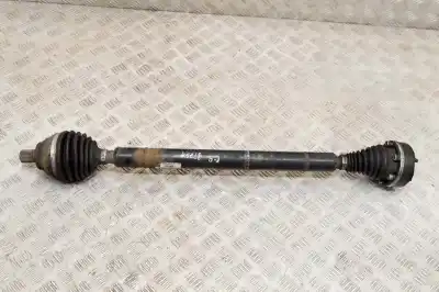 İkinci el araba yedek parçası ÖN SAG SANZIMAN için SEAT LEON 5F1  OEM IAM referansları 1K0407272QN  
