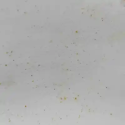 Pezzo di ricambio per auto di seconda mano porta anteriore destra per ford transit connect (2013-..) commercial riferimenti oem iam pkt1b-v20124-bc  